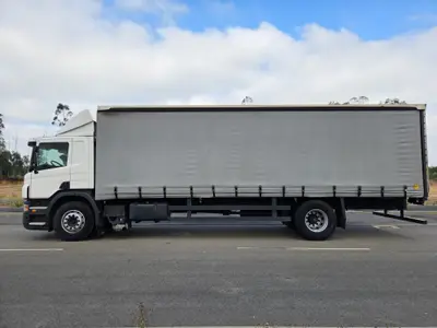 Scania P320 2009